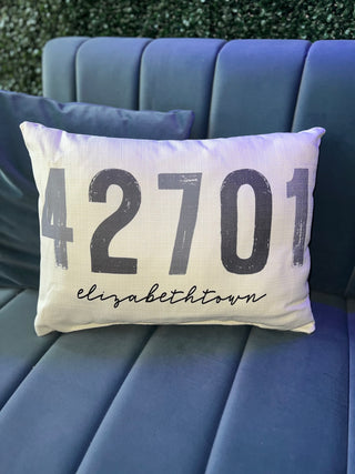 42701 Bold Pillow